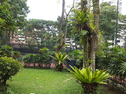 Hillcrest Arcadia (D11), Condominium #146543002